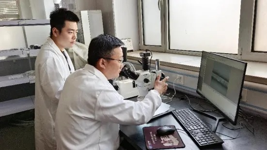  天津华源线材制品有限公司